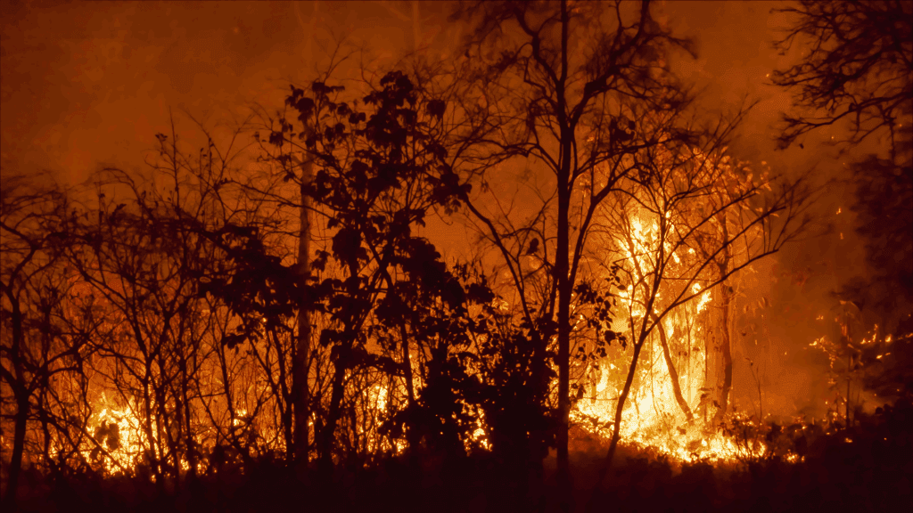 california wildfire lawsuit