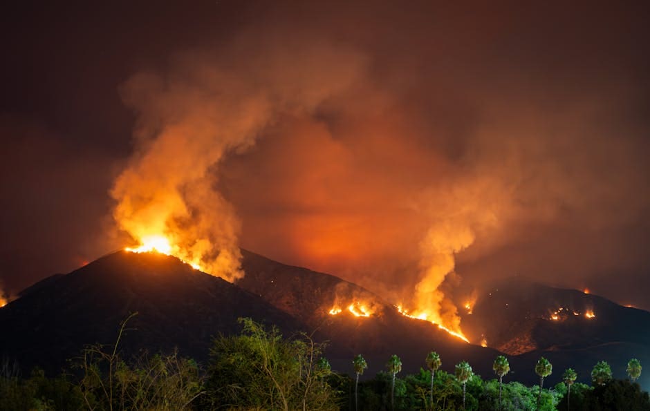 california-wildfire-wrongful-death-image California wildfire wrongful death