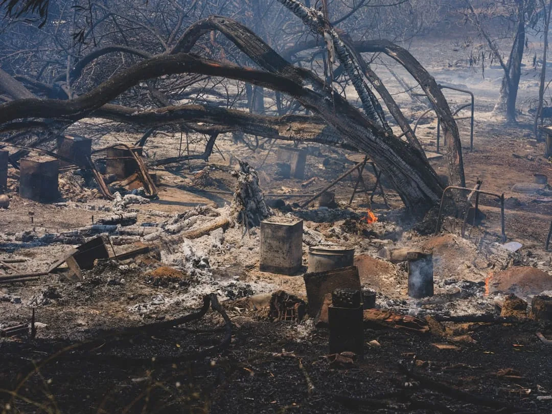 wildfire property damage claim