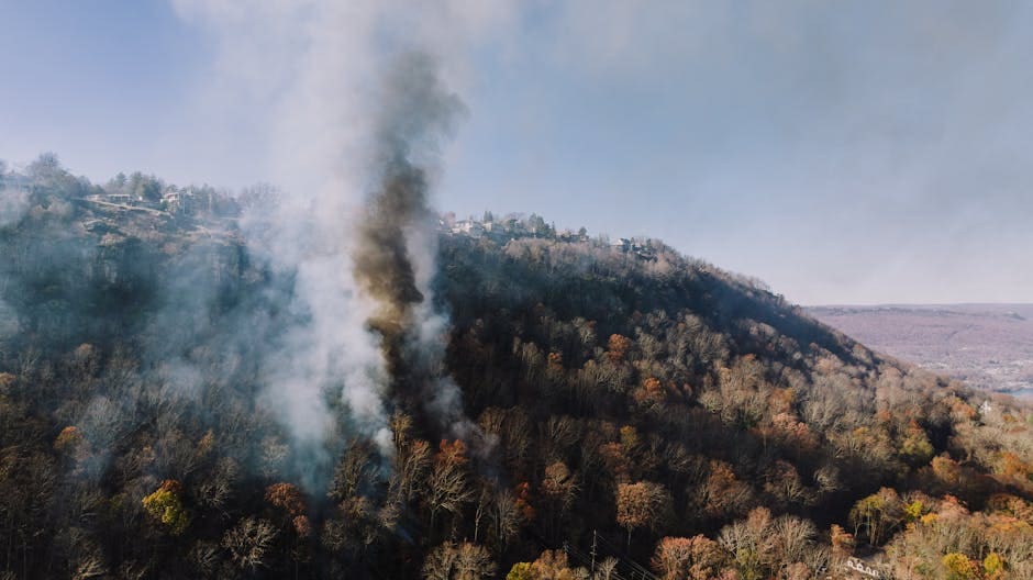 Wildfire smoke damage claims