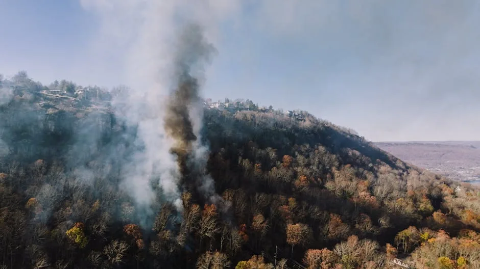 Wildfire smoke damage claims